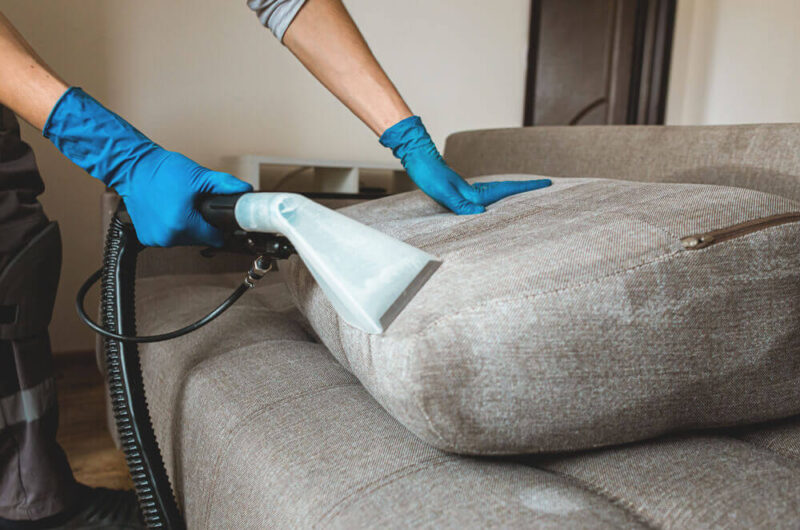 sofa cleaning